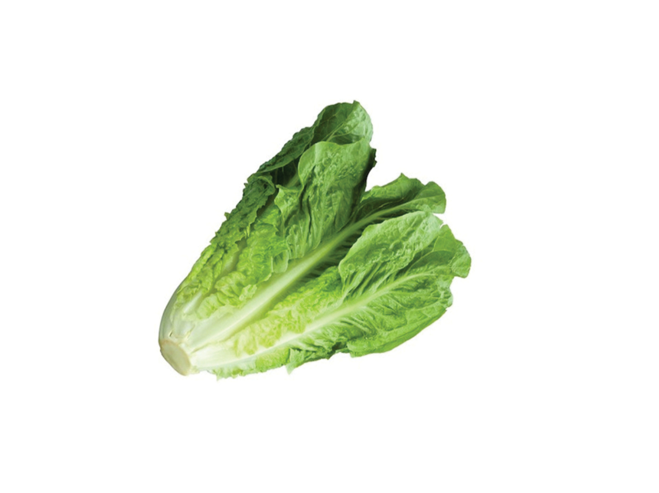 羅文生菜