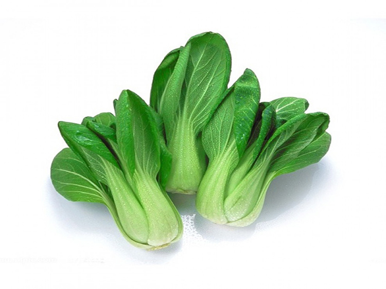 小唐菜